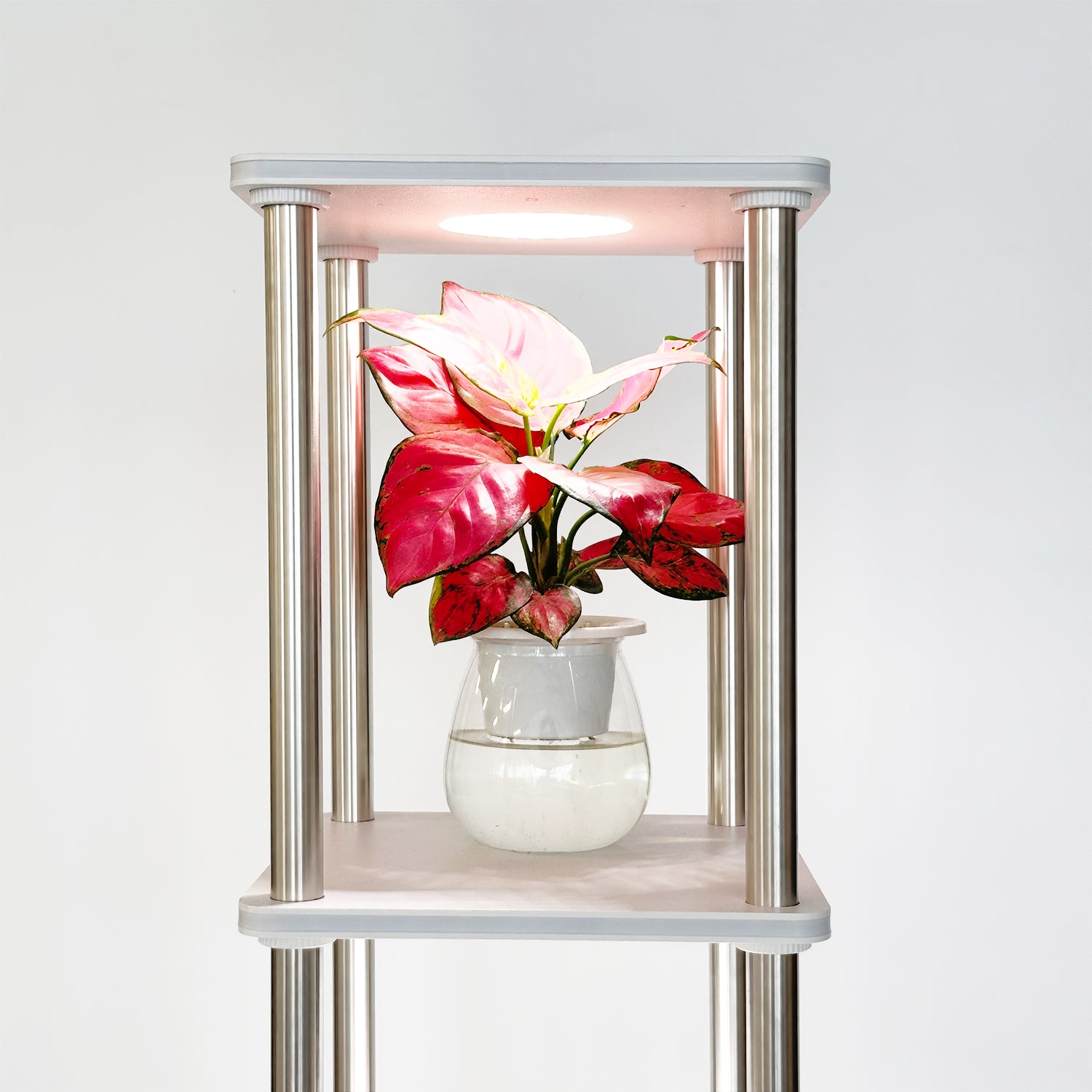 hopedamai smart floor lamp shelf plant growth